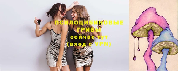 прущий лед Армянск